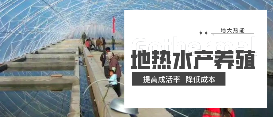 天鎮(zhèn)縣依托地熱資源 發(fā)展水產養(yǎng)殖-地熱溫室養(yǎng)殖-地大熱能